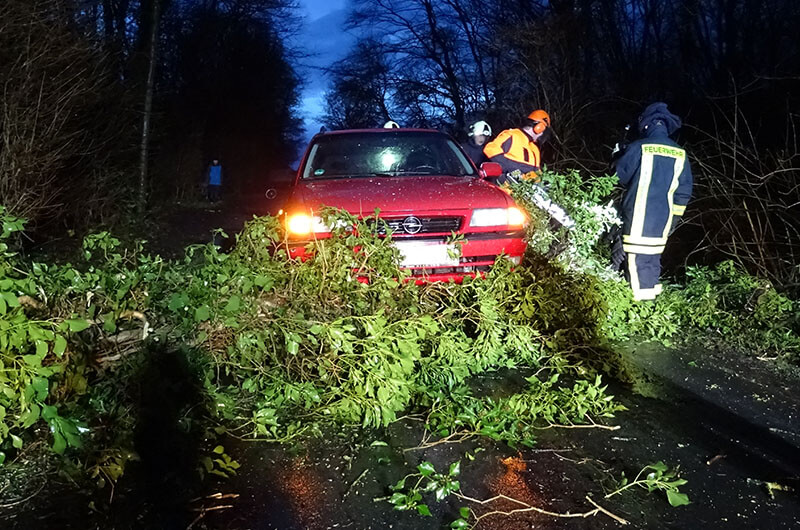 auto_in_baum_trupp_kettensaege