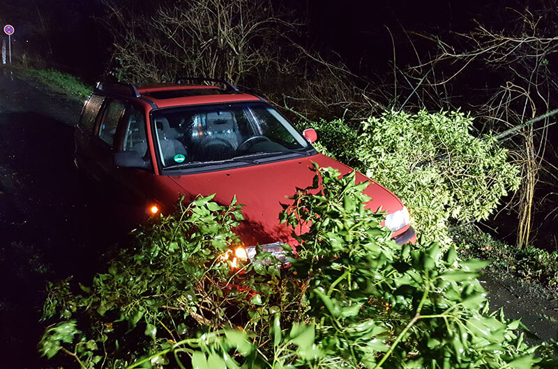 auto_in_baum_oben