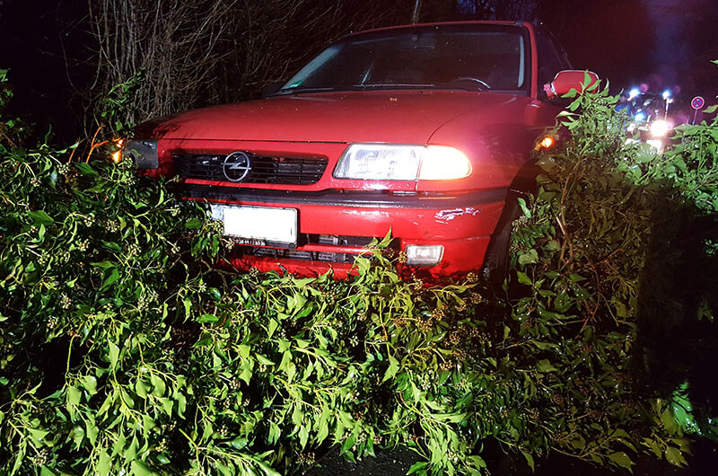 auto_in_baum_front
