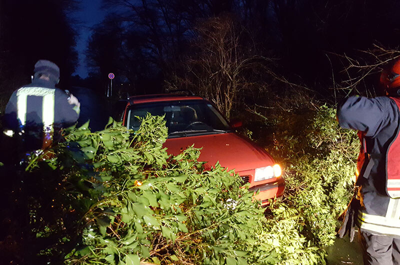 auto_in_baum_trupp