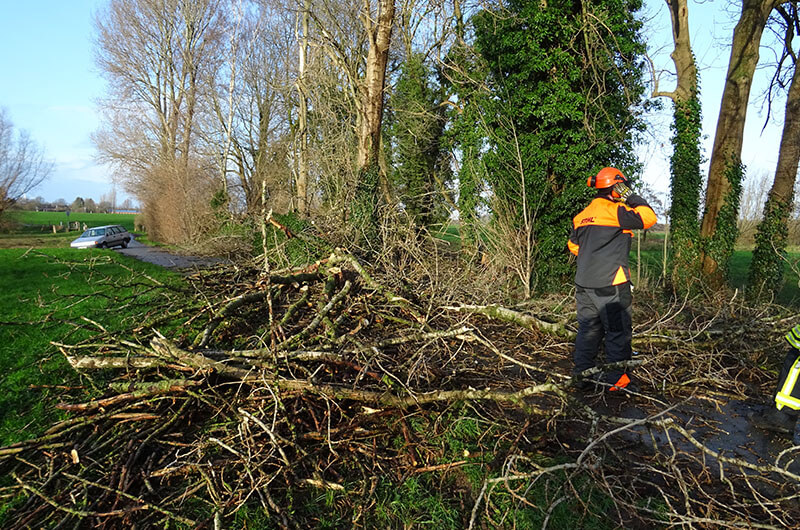 kettensaegenmann_baum_holzhaufen