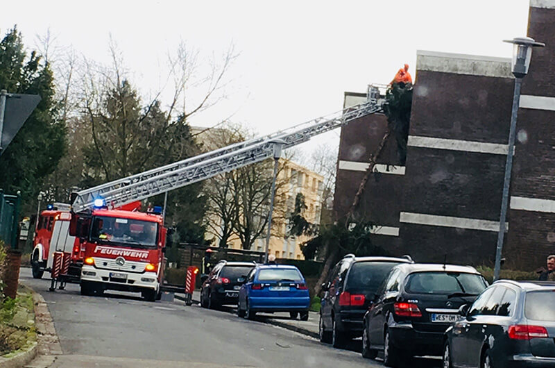 freddy_dlk_glogauerstr