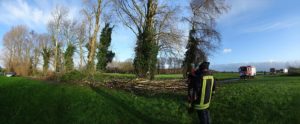 panorama_baum_fall_str