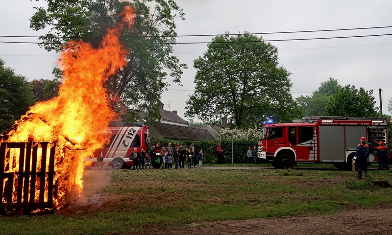 bst18_niep_Brand