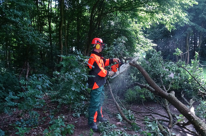 ast_schwer_zerlegung_kettensaege