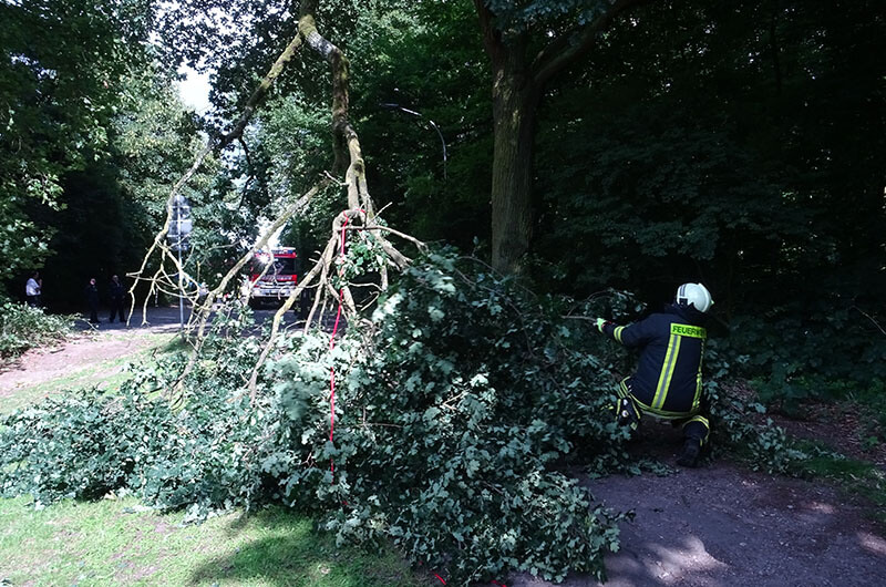 ast_schwer_gebrochen_haengt_gezogen