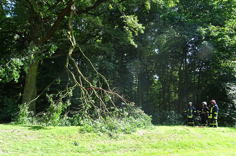 ast_schwer_gebrochen_haengt_fw_leine