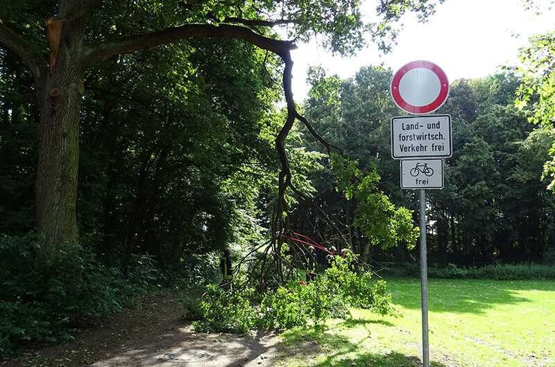 ast_schwer_gebrochen_haengt