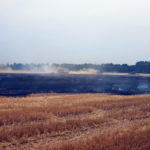 flaechenbrand_feld