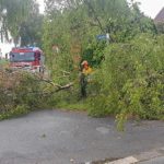 sturmschaden_kettensaege_baum